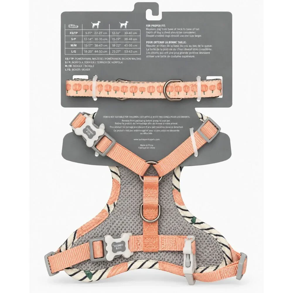 Sydney & Co. Pumpkin Print Dog Harness & Leash Set – Pet Walking Set, Size S/P